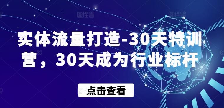 实体流量打造-30天特训营，30天成为行业标杆-巅峰资源网