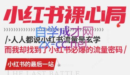 月月老师·小红书低粉高变现课-巅峰资源网