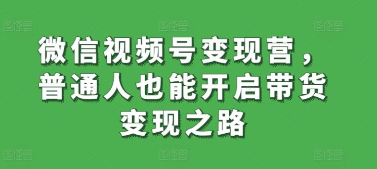 微信视频号变现营，普通人也能开启带货变现之路-巅峰资源网