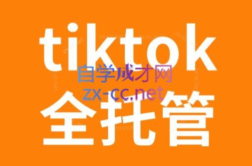 TikTok跨境电商全托管运营模式精品课-巅峰资源网
