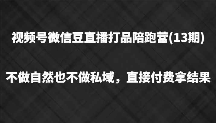 视频号微信豆直播打品陪跑(13期)，不做不自然流不做私域，直接付费拿结果-巅峰资源网