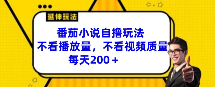 番茄小说自撸玩法，不看播放量，不看视频质量，每天200+【揭秘】-巅峰资源网