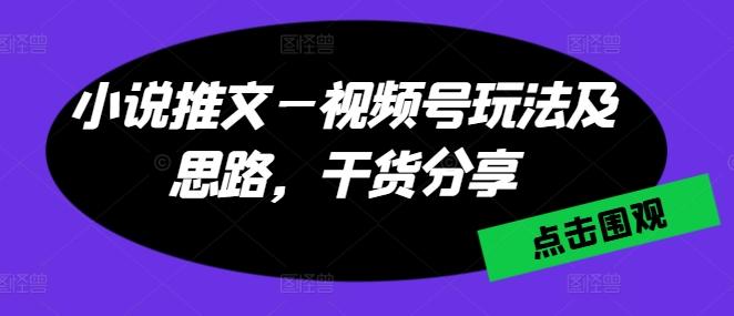 小说推文—视频号玩法及思路，干货分享-巅峰资源网
