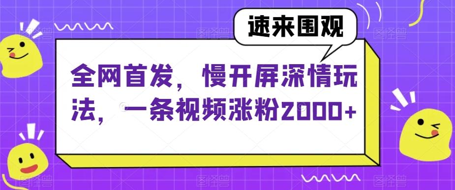 全网首发，慢开屏深情玩法，一条视频涨粉2000+【揭秘】-巅峰资源网