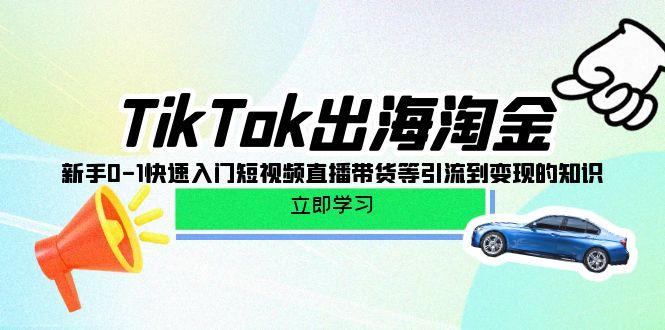 (10035期)TikTok-出海淘金，新手0-1快速入门短视频直播带货等引流到变现的知识-巅峰资源网