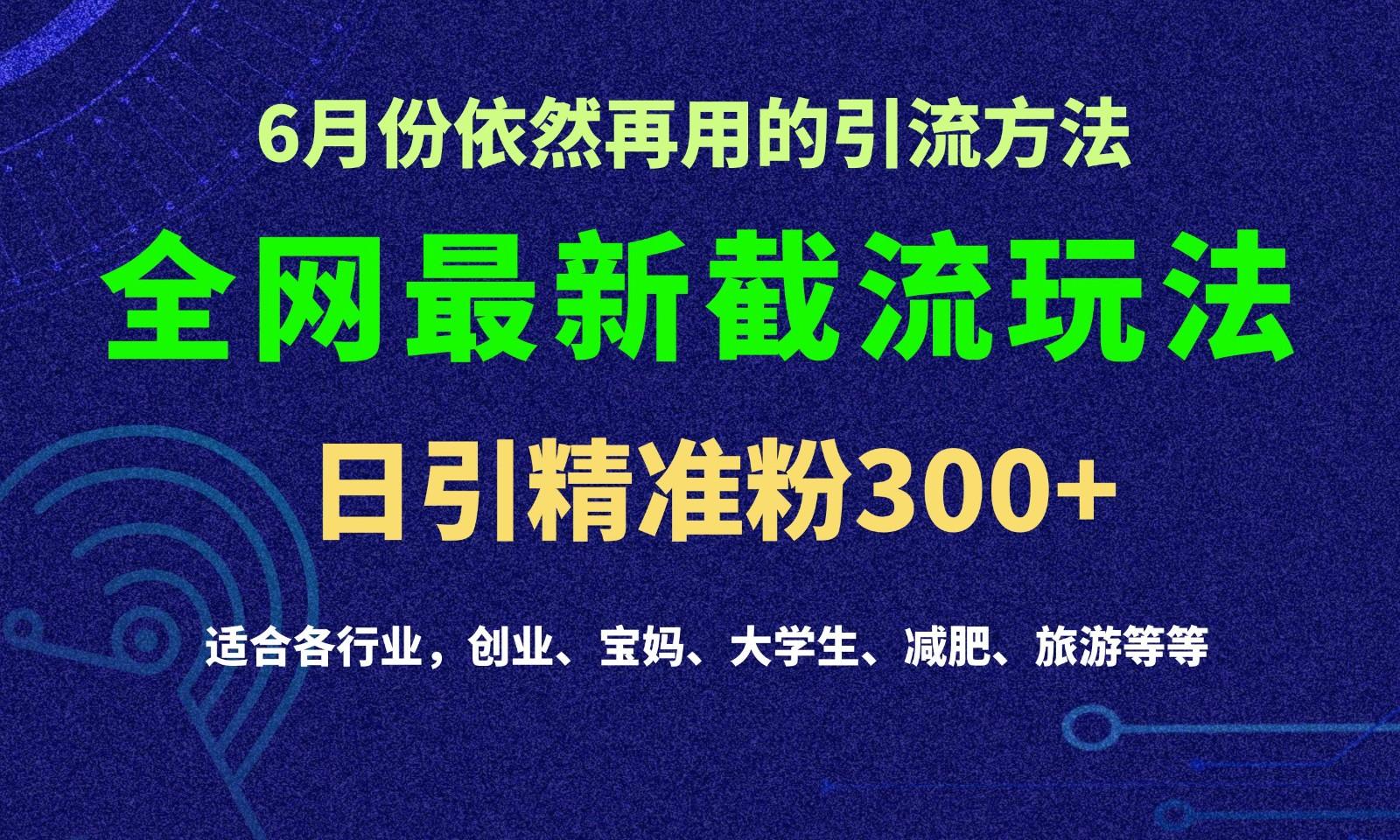 2024全网最新截留玩法，每日引流突破300+-巅峰资源网