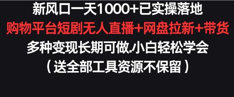 新风口一天1000+已实操落地购物平台短剧无人直播+网盘拉新+带货多种变现长期可做【揭秘】-巅峰资源网