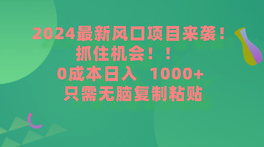 (9899期)2024最新风口项目来袭，抓住机会，0成本一部手机日入1000+，只需无脑复...-巅峰资源网