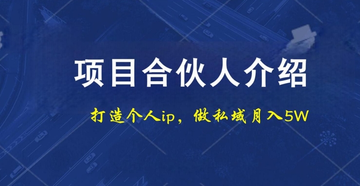 项目合伙人项目，打造个人IP，做私域月入5W，小白勿扰-巅峰资源网