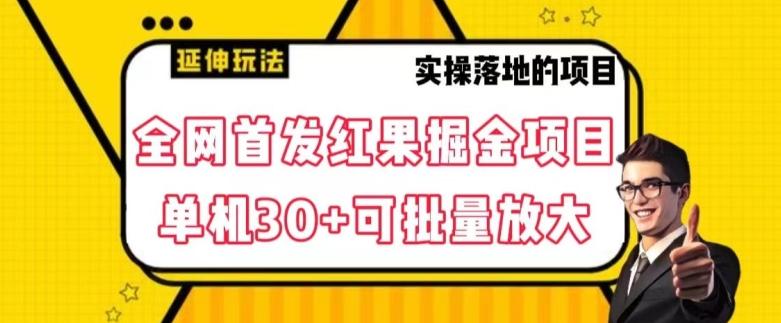 全网首发红果免费短剧掘金项目，单机30+可批量放大【揭秘】-巅峰资源网