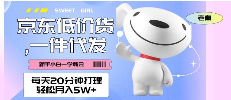 每天20分钟打理京东低价货，一件代发-轻松月入5W＋-巅峰资源网