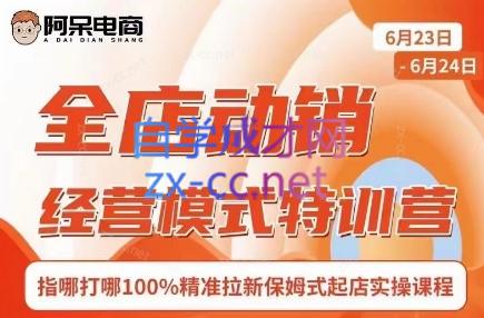 阿呆电商·全店动销经营模式特训营(线下录音+思维导图)-巅峰资源网