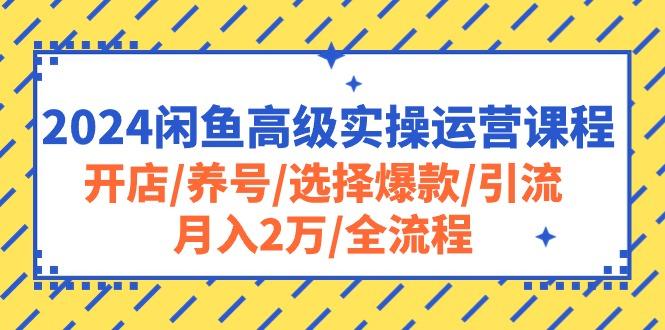 2024闲鱼高级实操运营课程：开店/养号/选择爆款/引流/月入2万/全流程-巅峰资源网