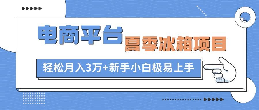 电商平台夏季冰箱项目，轻松月入3万+，新手小白极易上手-巅峰资源网