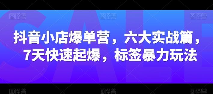 抖音小店爆单营，六大实战篇，7天快速起爆，标签暴力玩法-巅峰资源网