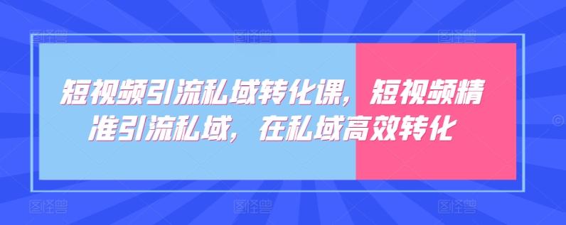 短视频引流私域转化课，短视频精准引流私域，在私域高效转化-巅峰资源网
