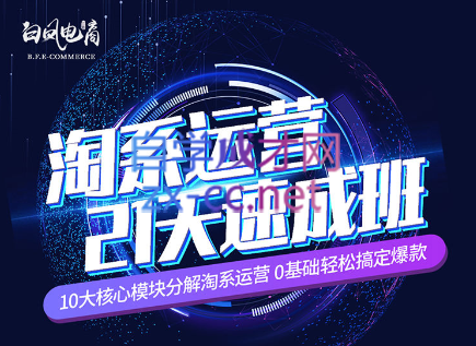 淘系运营21天速成班(更新7月)-巅峰资源网