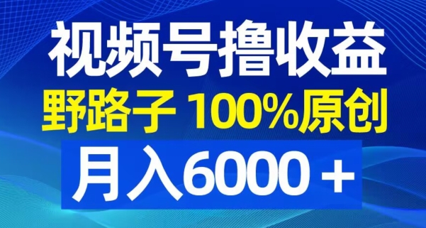视频号野路子撸收益，100%原创，条条爆款，月入6000＋【揭秘】-巅峰资源网