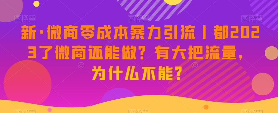 新·微商零成本暴力引流丨都2023了微商还能做？有大把流量，为什么不能？-巅峰资源网