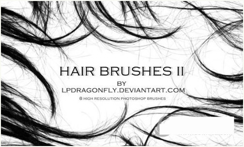 PS发丝笔刷-巅峰资源网