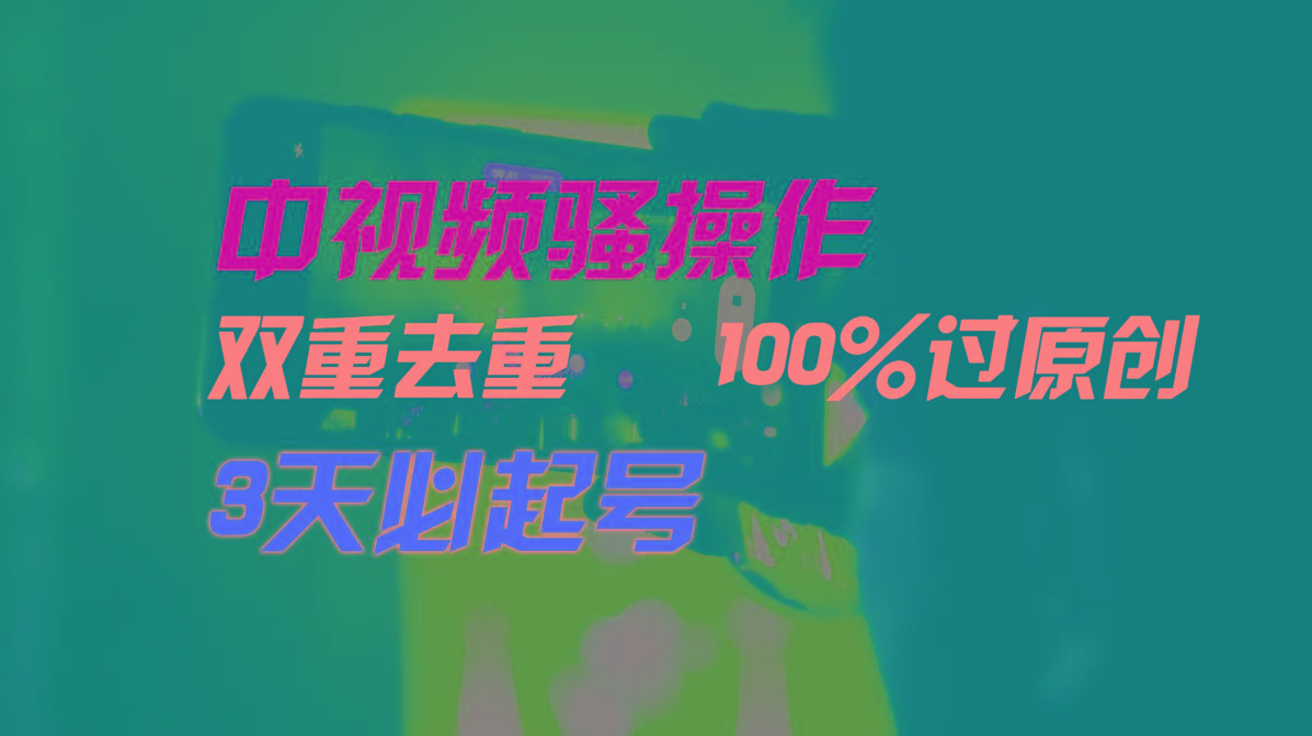 中视频骚操作，双重去重100%过原创，3天比必起号，简单无脑，月入3W+-巅峰资源网