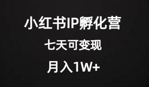 价值2000+的小红书IP孵化营项目，超级大蓝海，七天即可开始变现，稳定月入1W+-巅峰资源网