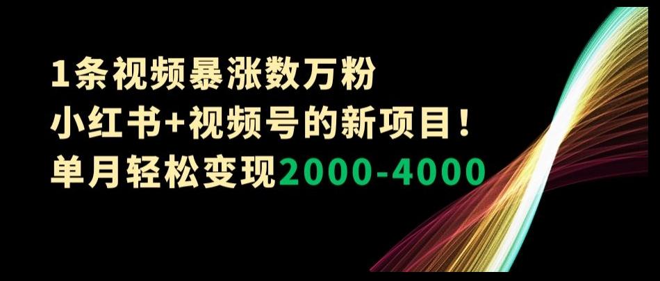 1条视频暴涨数万粉--小红书+视频号的新项目！单月轻松变现2000-4000【揭秘】-巅峰资源网
