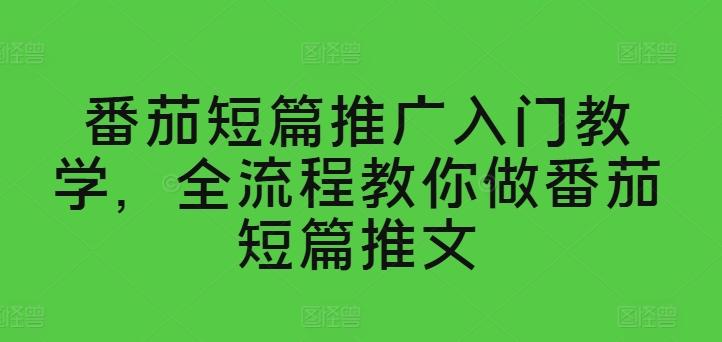 番茄短篇推广入门教学，全流程教你做番茄短篇推文-巅峰资源网