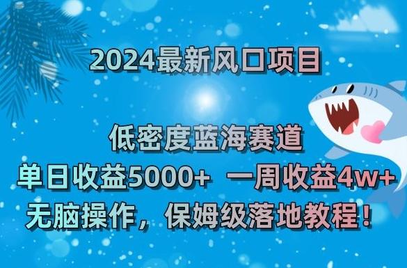 2024最新风口项目，低密度蓝海赛道，单日收益5000+，一周收益4w+！【揭秘】-巅峰资源网