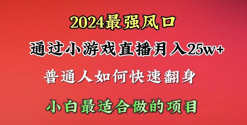 (10020期)2024年最强风口，通过小游戏直播月入25w+单日收益5000+小白最适合做的项目-巅峰资源网