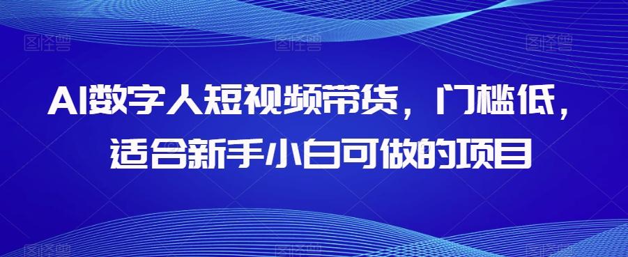 AI数字人短视频带货，门槛低，适合新手小白可做的项目-巅峰资源网