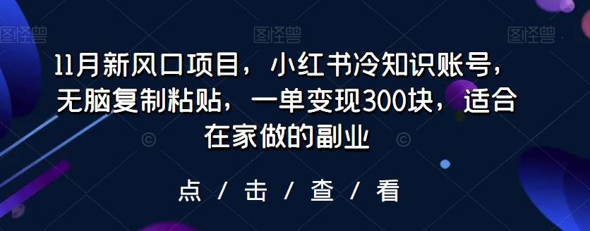 11月新风口项目，小红书冷知识账号，无脑复制粘贴，一单变现300块，适合在家做的副业-巅峰资源网