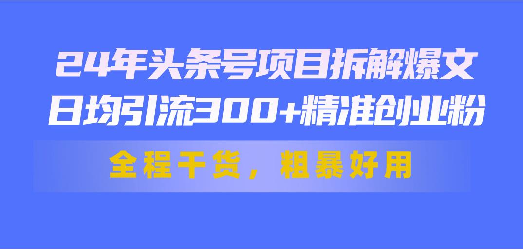 24年头条号项目拆解爆文，日均引流300+精准创业粉，全程干货，粗暴好用-巅峰资源网