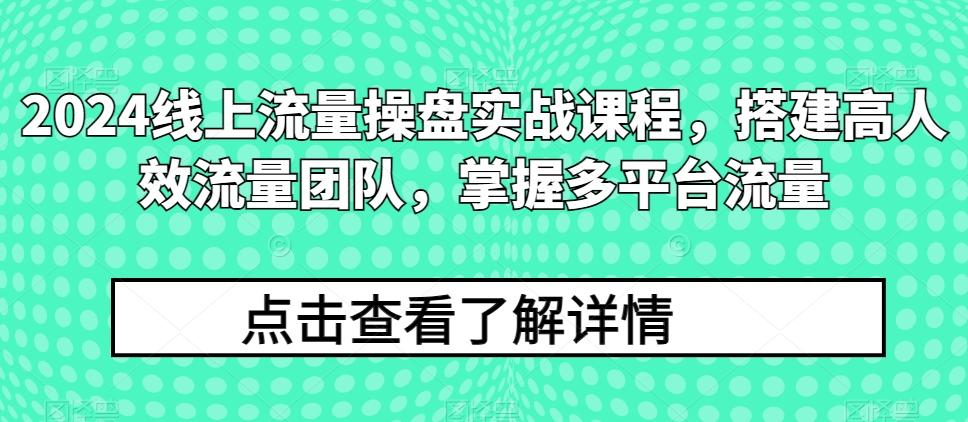 2024线上流量操盘实战课程，搭建高人效流量团队，掌握多平台流量-巅峰资源网
