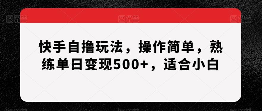 快手自撸玩法，操作简单，熟练单日变现500+，适合小白【揭秘】-巅峰资源网