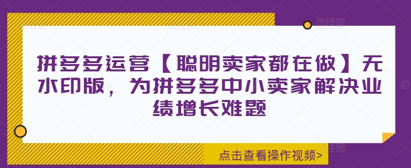 拼多多运营【聪明卖家都在做】无水印版，为拼多多中小卖家解决业绩增长难题-巅峰资源网