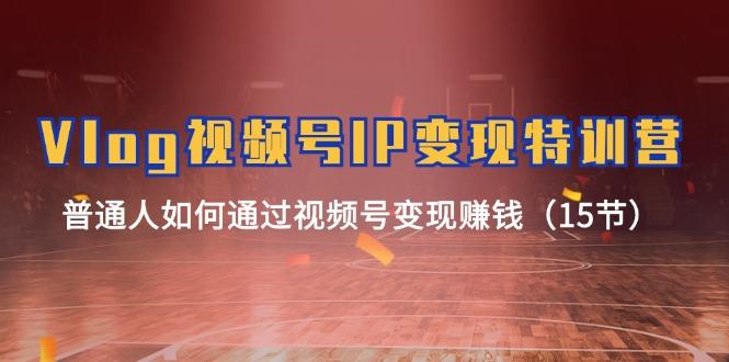 Vlog 视频号IP变现特训营，普通人如何通过视频号变现赚钱(15节-巅峰资源网