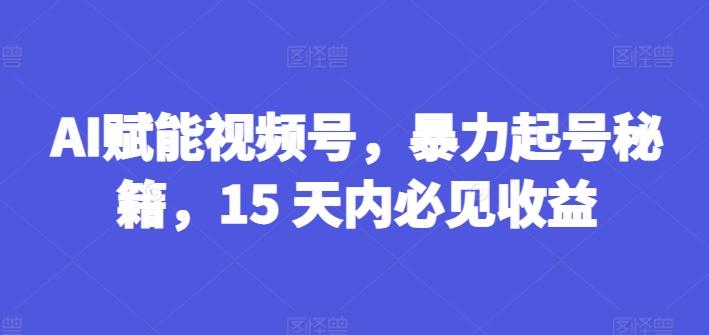 AI赋能视频号，暴力起号秘籍，15 天内必见收益【揭秘】-巅峰资源网