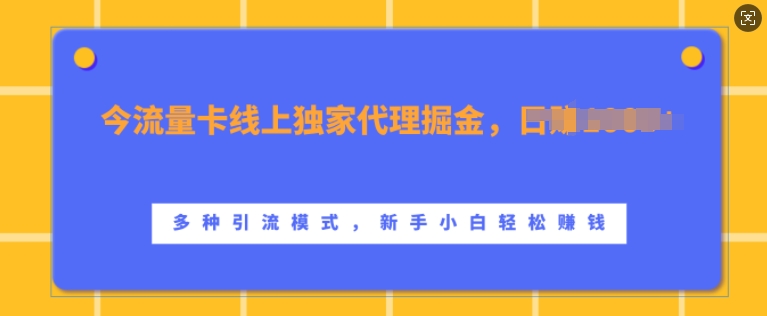 流量卡线上独家代理掘金，日入1k+ ，多种引流模式，新手小白轻松上手【揭秘】-巅峰资源网