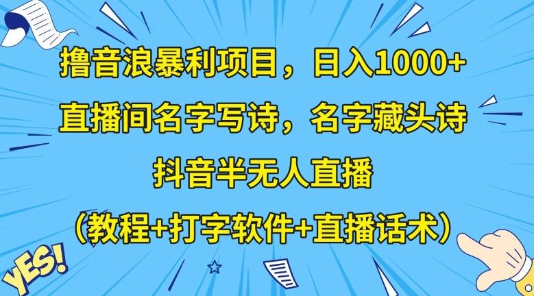 撸音浪暴利项目，日入1000+，直播间名字写诗，名字藏头诗，抖音半无人直播（教程+打字软件+直播话术）【揭秘】-巅峰资源网
