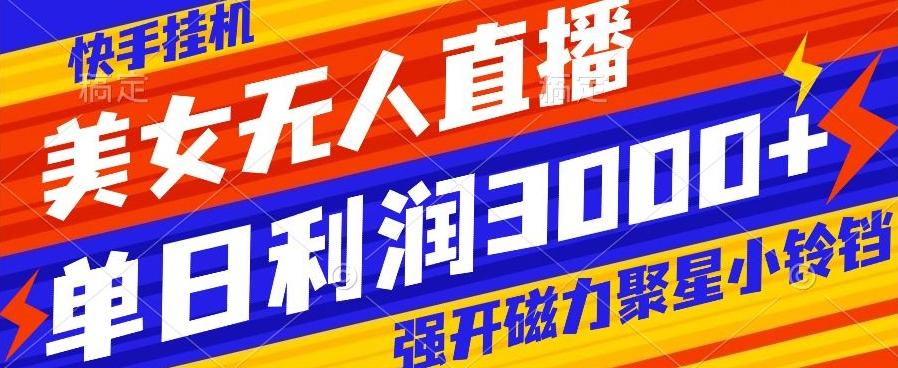 快手挂机，美女无人直播，强开磁力聚星小铃铛，日入3000+-巅峰资源网