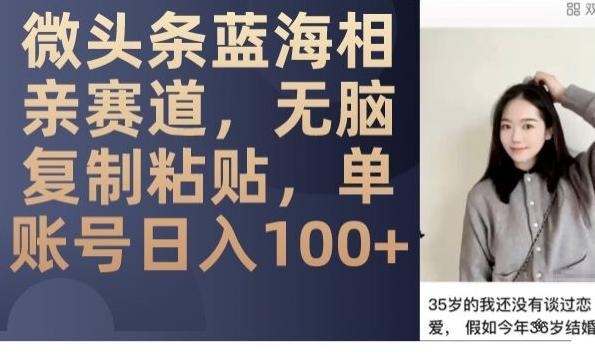 微头条蓝海相亲赛道，无脑复制粘贴，单账号日入100+-巅峰资源网