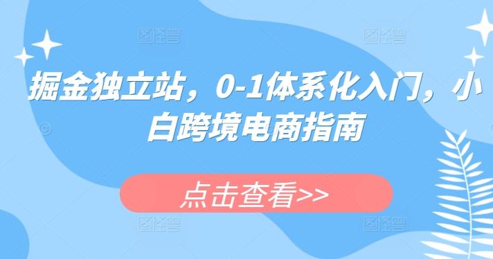 掘金独立站，0-1体系化入门，小白跨境电商指南-巅峰资源网