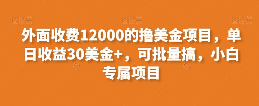 外面收费12000的撸美金项目，单日收益30美金+，可批量搞，小白专属项目-巅峰资源网