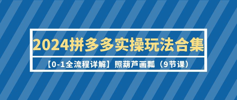(9559期)2024拼多多实操玩法合集【0-1全流程详解】照葫芦画瓢(9节课)-巅峰资源网