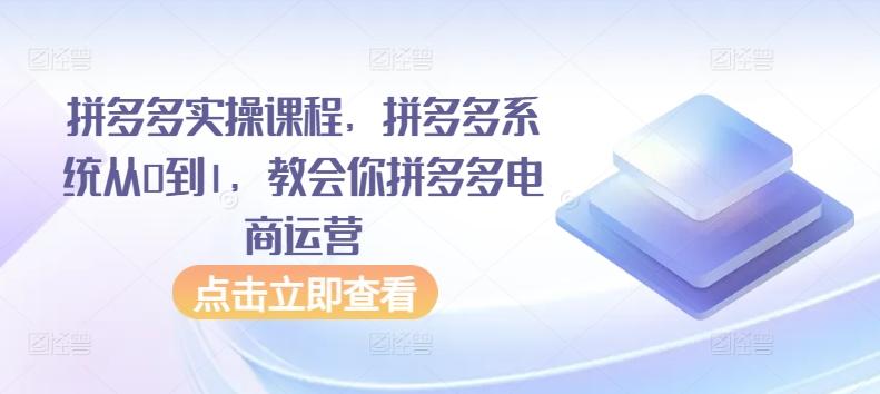 拼多多实操课程，拼多多系统从0到1，教会你拼多多电商运营-巅峰资源网