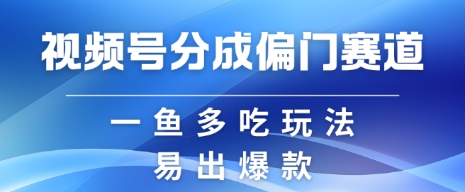 视频号创作者分成计划偏门类目，容易爆流，实拍内容简单易做【揭秘】-巅峰资源网