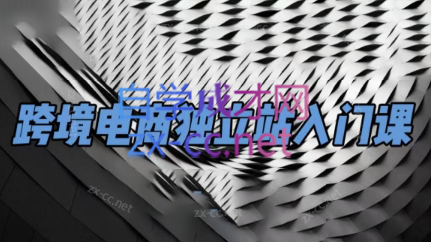 团长·跨境电商独立站入门课(2小时精华)-巅峰资源网