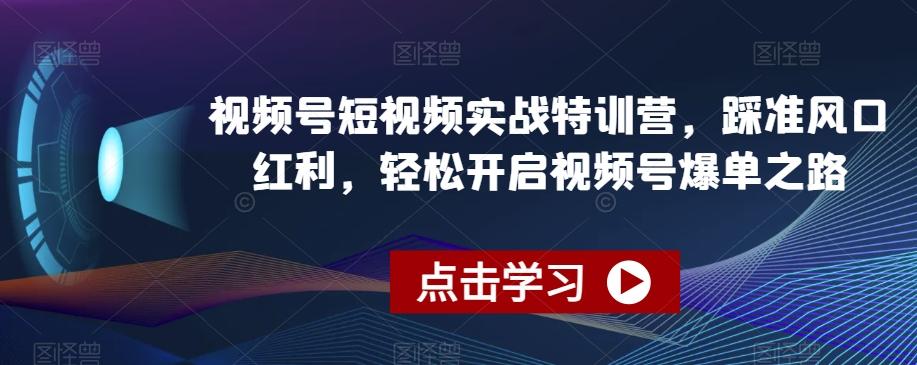 视频号短视频实战特训营，踩准风口红利，轻松开启视频号爆单之路-巅峰资源网