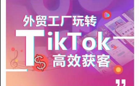 外贸工厂玩转TikTok高效获客，多种引流方式与账号定位技巧，拆解爆款短视频打造成功案例-巅峰资源网